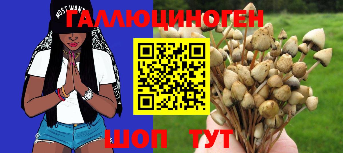 Галлюциногенные грибы Cubensis  Галлюциногенные грибы мухоморы  Саянск  Вход с VPN 