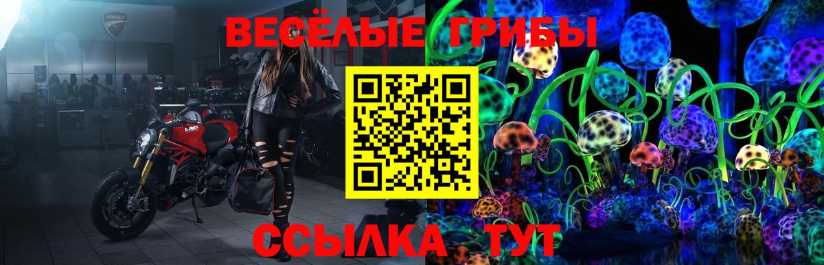 Галлюциногенные грибы мухоморы Саянск